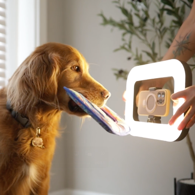 10 Creative Ways to Use the CosmoGlo LED Content Frame + Tripod